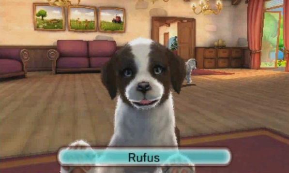 i love my pets